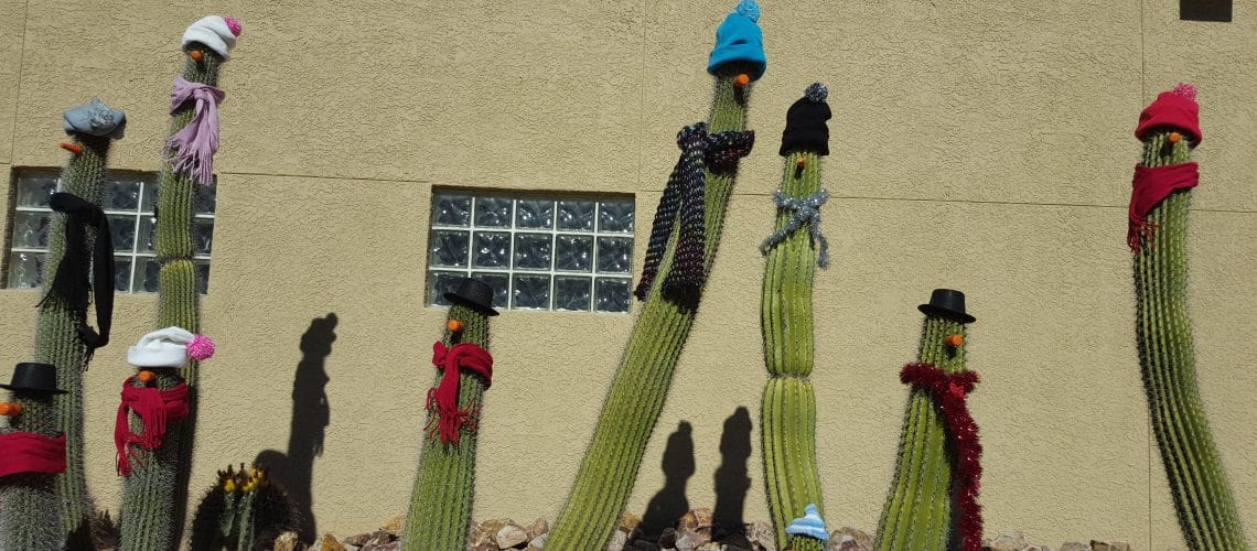 Desert saguaro cacti dressed in winter hats and scarves